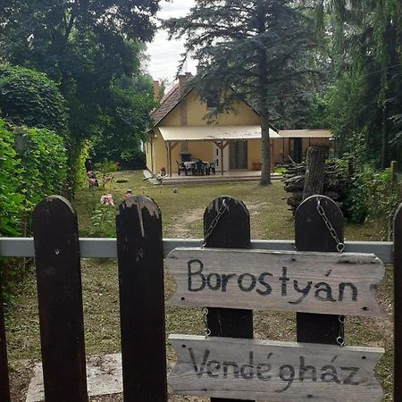 Borostyan Vendeghaz Apartment Tiszaug Bagian luar foto