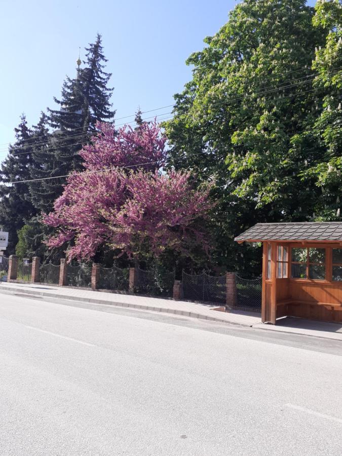 Borostyan Vendeghaz Apartment Tiszaug Bagian luar foto