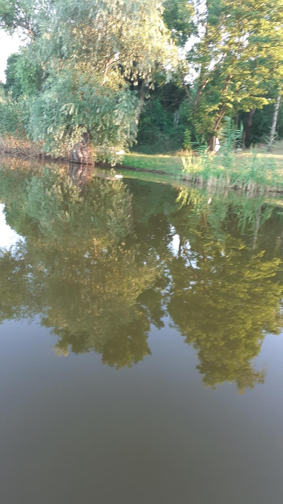 Borostyan Vendeghaz Apartment Tiszaug Bagian luar foto